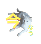 はまちとぽんずの日常2（個別スタンプ：14）