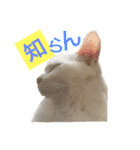 はまちとぽんずの日常2（個別スタンプ：16）