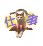 はまちとぽんずの日常2（個別スタンプ：17）
