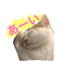 はまちとぽんずの日常2（個別スタンプ：20）