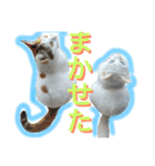 はまちとぽんずの日常2（個別スタンプ：23）