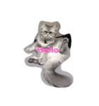 meaw neko（個別スタンプ：14）