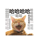 Pipi ＆ JyaiAn（個別スタンプ：4）