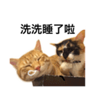 Pipi ＆ JyaiAn（個別スタンプ：13）
