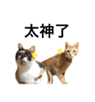 Pipi ＆ JyaiAn（個別スタンプ：20）