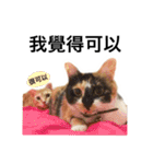 Pipi ＆ JyaiAn（個別スタンプ：28）