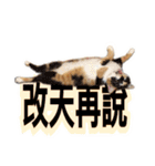Pipi ＆ JyaiAn（個別スタンプ：30）