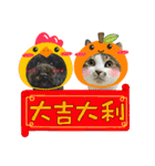 Pets: xiao p maomen yu xiao p gou（個別スタンプ：39）