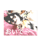 みずたんスタンプ2 時々ららちゃん（個別スタンプ：40）