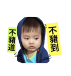 Dongdong learn to speak（個別スタンプ：8）