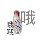 dizzyslife（個別スタンプ：5）