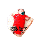 mibobo's daily 1（個別スタンプ：7）