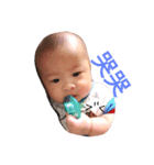 mibobo's daily 1（個別スタンプ：8）