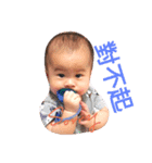 mibobo's daily 1（個別スタンプ：16）