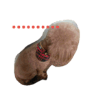 Poodle BoBo（個別スタンプ：4）