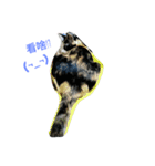 2 cats' world（個別スタンプ：13）