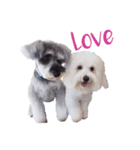 Pepper ＆ Mamma Mia version 2（個別スタンプ：2）