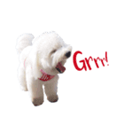 Pepper ＆ Mamma Mia version 2（個別スタンプ：5）