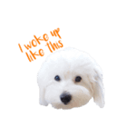 Pepper ＆ Mamma Mia version 2（個別スタンプ：7）