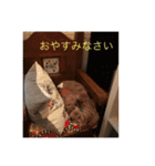 歌舞伎犬スタンプ（個別スタンプ：3）