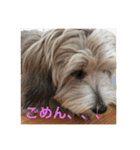 歌舞伎犬スタンプ（個別スタンプ：10）