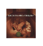 歌舞伎犬スタンプ（個別スタンプ：21）