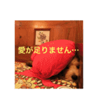 歌舞伎犬スタンプ（個別スタンプ：22）