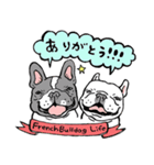 フレンチブルドッグライフ（個別スタンプ：2）