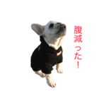 フレブルむっち君（個別スタンプ：1）