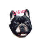 pepeoaomsin#v.2（個別スタンプ：2）