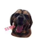 pepeoaomsin#v.2（個別スタンプ：4）