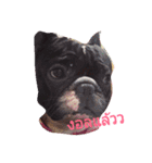 pepeoaomsin#v.2（個別スタンプ：6）