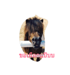 pepeoaomsin#v.2（個別スタンプ：7）