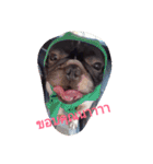 pepeoaomsin#v.2（個別スタンプ：9）