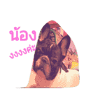 pepeoaomsin#v.2（個別スタンプ：11）
