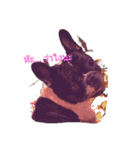 pepeoaomsin#v.2（個別スタンプ：14）