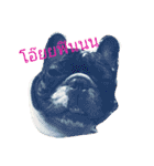 pepeoaomsin#v.2（個別スタンプ：15）