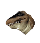 D-Rex（個別スタンプ：3）