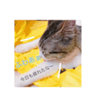 おもち pt2（個別スタンプ：5）