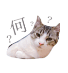 おもち pt2（個別スタンプ：6）