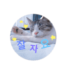おもち pt2（個別スタンプ：13）