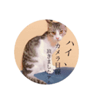 おもち pt2（個別スタンプ：14）
