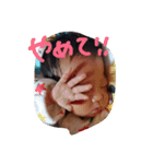 野村♡（個別スタンプ：22）