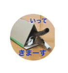 スコのカルシファー（個別スタンプ：6）