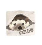 hedgehog love（個別スタンプ：2）