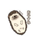 hedgehog love（個別スタンプ：3）