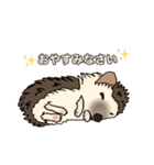 hedgehog love（個別スタンプ：4）