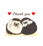 hedgehog love（個別スタンプ：6）