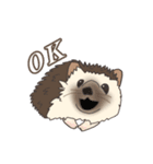 hedgehog love（個別スタンプ：8）