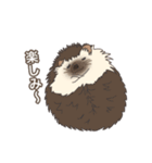 hedgehog love（個別スタンプ：11）